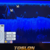 CARP ROYAL KING PRO
